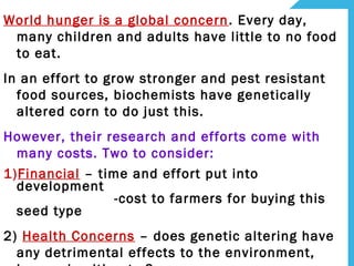 World hunger is a global concern. Every day,
many children and adults have little to no food
to eat.
In an effort to grow stronger and pest resistant
food sources, biochemists have genetically
altered corn to do just this.
However, their research and efforts come with
many costs. Two to consider:
1)Financial – time and effort put into
development
-cost to farmers for buying this
seed type
2) Health Concerns – does genetic altering have
any detrimental effects to the environment,
 