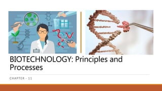 BIOTECHNOLOGY: Principles and
Processes
CHAPTER - 11
 