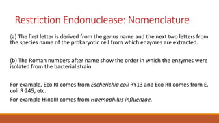 Restriction Endonuclease: Nomenclature
(a) The first letter is derived from the genus name and the next two letters from
the species name of the prokaryotic cell from which enzymes are extracted.
(b) The Roman numbers after name show the order in which the enzymes were
isolated from the bacterial strain.
For example, Eco RI comes from Escherichia coli RY13 and Eco RII comes from E.
coli R 245, etc.
For example HindIII comes from Haemophilus influenzae.
 