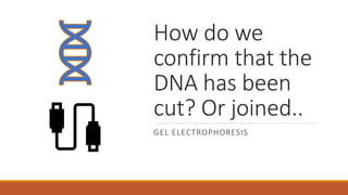 How do we
confirm that the
DNA has been
cut? Or joined..
GEL ELECTROPHORESIS
 