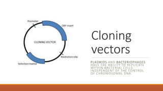 Plasmids and bacteriophages have the ability to replicate within bacterial cells independent of the control of chromosomal DNA.
Cloning
vectors
PLASMIDS AND BACTERIOPHAGES
HAVE THE ABILITY TO REPLICATE
WITHIN BACTERIAL CELLS
INDEPENDENT OF THE CONTROL
OF CHROMOSOMAL DNA.
 