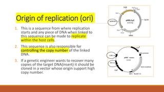 Origin of replication (ori)
1. This is a sequence from where replication
starts and any piece of DNA when linked to
this sequence can be made to replicate
within the host cells.
2. This sequence is also responsible for
controlling the copy number of the linked
DNA.
3. If a genetic engineer wants to recover many
copies of the target DNA(insert) it should be
cloned in a vector whose origin support high
copy number.
 