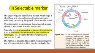 (ii) Selectable marker
The vector requires a selectable marker, which helps in
identifying and eliminating non transformants and
selectively permitting the growth of the transformants.
(Transformation is a procedure through which a piece
of DNA is introduced in a host bacterium)
Normally, the genes encoding resistance to antibiotics
such as ampicillin, chloramphenicol, tetracycline or
kanamycin, etc., are considered useful selectable
markers for E. coli.
The normal E. coli cells do not carry resistance against
any of these antibiotics. (Only transformed cells do)
 