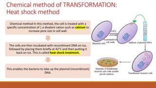 Chemical method of TRANSFORMATION:
Heat shock method
Chemical method In this method, the cell is treated with a
specific concentration of | a divalent cation such as calcium to
increase pore size in cell wall.
The cells are then incubated with recombinant DNA on ice,
followed by placing them briefly at 42°C and then putting it
back on ice. This is called heat shock treatment.
This enables the bacteria to take up the plasmid (recombinant)
DNA.
 