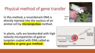 Physical method of gene transfer
In this method, a recombinant DNA is
directly injected into the nucleus of an
animal cell by microinjection method.
In plants, cells are bombarded with high
velocity microparticles of gold or
tungsten coated with DNA called as
biolistics or gene gun method.
Gene
gun
Microinjecton
 