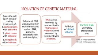 ISOLATIONOF GENETIC MATERIAL
Break the cell
open- Lysis of
cell by
treatment of-
1.bacterial cells
with lysozyme
2. plant tissue
with cellulase
3. Fungal cells
with chitinase.
Release of DNA
along with other
macromolecules
such as RNA,
proteins,
polysaccharides
and also lipids.
RNA can be
removed by
treatment with
ribonuclease
Proteins can be
removed by
treatment with
protease.
Addition
of chilled
ethanol
Purified DNA
ultimately
precipitates
out
Seen as collection of fine
threads in the suspension
 