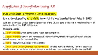 Amplificationof Geneof Interest usingPCR
PCR stands for Polymerase Chain Reaction.
It was developed by Kary Mulis for which he was warded Nobel Prize in 1993
With this technique, we can get multiple copies of the DNA or gene of interest in vitro by using set of
primers and enzyme DNA polymerase.
PCR components:
1. A DNA template: which contains the region to be amplified.
2. A set of Primers (Forward and Reverse) :small chemically synthesised oligonucleotides that are
complementary to the regions of DNA
3. dNTPs : deoxyribonucleotide TriPhosphates
4. A heat stable DNA Polymerase- Taq Polymerase : isolated from a bacterium, Thermus aquaticus,
which remains active during the high temperature induced denaturation of double stranded DNA
 