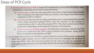Steps of PCR Cycle
 