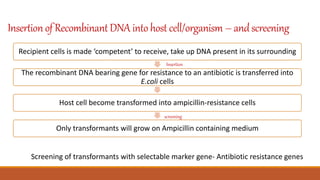 Insertionof RecombinantDNA intohost cell/organism – andscreening
Recipient cells is made ‘competent’ to receive, take up DNA present in its surrounding
The recombinant DNA bearing gene for resistance to an antibiotic is transferred into
E.coli cells
Host cell become transformed into ampicillin-resistance cells
Only transformants will grow on Ampicillin containing medium
Screening of transformants with selectable marker gene- Antibiotic resistance genes
Insertion
screening
 