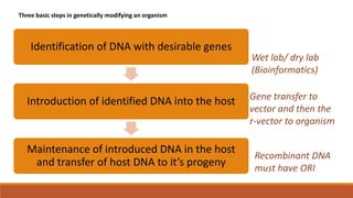 Identification of DNA with desirable genes
Introduction of identified DNA into the host
Maintenance of introduced DNA in the host
and transfer of host DNA to it’s progeny
Wet lab/ dry lab
(Bioinformatics)
Gene transfer to
vector and then the
r-vector to organism
Recombinant DNA
must have ORI
Three basic steps in genetically modifying an organism
 