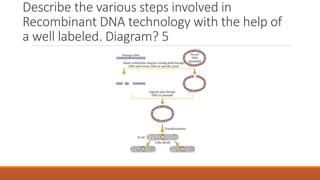 Describe the various steps involved in
Recombinant DNA technology with the help of
a well labeled. Diagram? 5
 