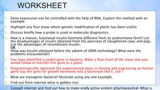 WORKSHEET
1. Gene expression can be controlled with the help of RNA. Explain the method with an
example.
2. Highlight any four areas where genetic modification of plants has been useful.
3. Discuss briefly how a probe is used in molecular diagnostics.
4. How is a mature, functional insulin hormone different from its prohormone form? List
the disadvantages of insulin obtained from the pancreas of slaughtered cows and pigs.
List the advantages of recombinant insulin.
OR
(How was Insulin obtained before the advent of rDNA technology? What were the
problems encountered?)
5. You have identified a useful gene in bacteria. Make a flow chart of the steps that you
would follow to transfer this gene to a plant.
6. Diagrammatically represent the experimental steps in cloning and expressing an human
gene (say the gene for growth hormone) into a bacterium like E. coli ?
7. What are transgenic bacteria? Illustrate using any one example.
8. Find out from internet what is golden rice.
9. Consult internet and find out how to make orally active protein pharmaceutical. What is
 