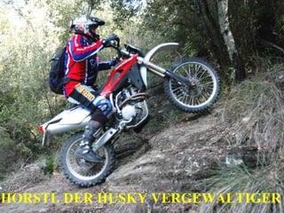 HORSTL DER HUSKY VERGEWALTIGER