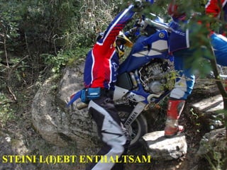 STEINI L(I)EBT ENTHALTSAM