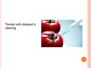 role of biotechnology in agriculture | PPTX