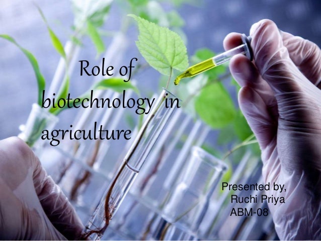 Role of
biotechnology in
agriculture
Presented by,
Ruchi Priya
ABM-08
 