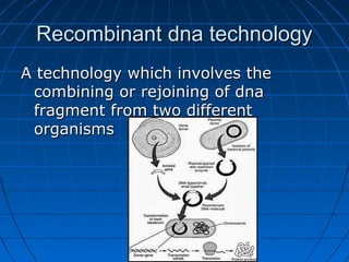 Recombinant dna technologyRecombinant dna technology
A technology which involves theA technology which involves the
combining or rejoining of dnacombining or rejoining of dna
fragment from two differentfragment from two different
organismsorganisms
 
