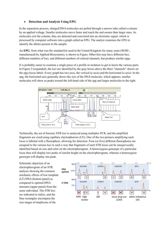 DNA Profiling and STR Typing in Forensics: From Molecular Techniques to ...