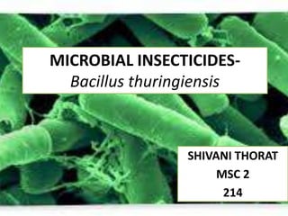 MICROBIAL INSECTICIDES-
Bacillus thuringiensis
SHIVANI THORAT
MSC 2
214
 