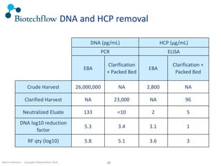 Martin Hofmann. Copyright ©Biotechflow 2018 38
DNA and HCP removal
DNA (pg/mL) HCP (µg/mL)
PCR ELISA
EBA
Clarification
+ Packed Bed
EBA
Clarification +
Packed Bed
Crude Harvest 26,000,000 NA 2,800 NA
Clarified Harvest NA 23,000 NA 96
Neutralized Eluate 133 <10 2 5
DNA log10 reduction
factor
5.3 3.4 3.1 1
RF qty (log10) 5.8 5.1 3.6 3
 