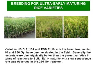 Plant Biotechnology and Food Security | PPT