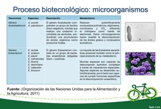 Fuente: (Organización de las Naciones Unidas para la Alimentación y
la Agricultura, 2011)
Proceso biotecnológico: microorganismos
 