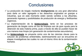 Conclusiones
 La producción de biogás mediante biodigestores es una gran alternativa
para darle un valor agregado a los desechos originados en granjas e
industrias, que en este momento están siendo vertidos a los afluentes,
generando ingresos y posibilidades de producción de energía y fertilizantes
orgánicos.
 La implementación de la biotecnología, tanto en los procesos de
generación de biogás como en los de limpieza son de gran ayuda para la
obtención de esta materia prima, pues a través de ella se pueden hacer de
una manera mas limpia (sin generación de contaminantes secundarios).
 La biotecnología se proyecta como una de las ciencias claves para la
solución de problemas ambientales, lastimosamente aun se encuentra en
etapas investigativas las cuales no van al mismo ritmo de la contaminación
humana.
 