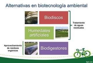 Alternativas en biotecnología ambiental
Biodiscos
Humedales
artificiales
Biodigestores
Tratamiento
de aguas
residuales
Aprovechamiento
de residuos
orgánicos
 