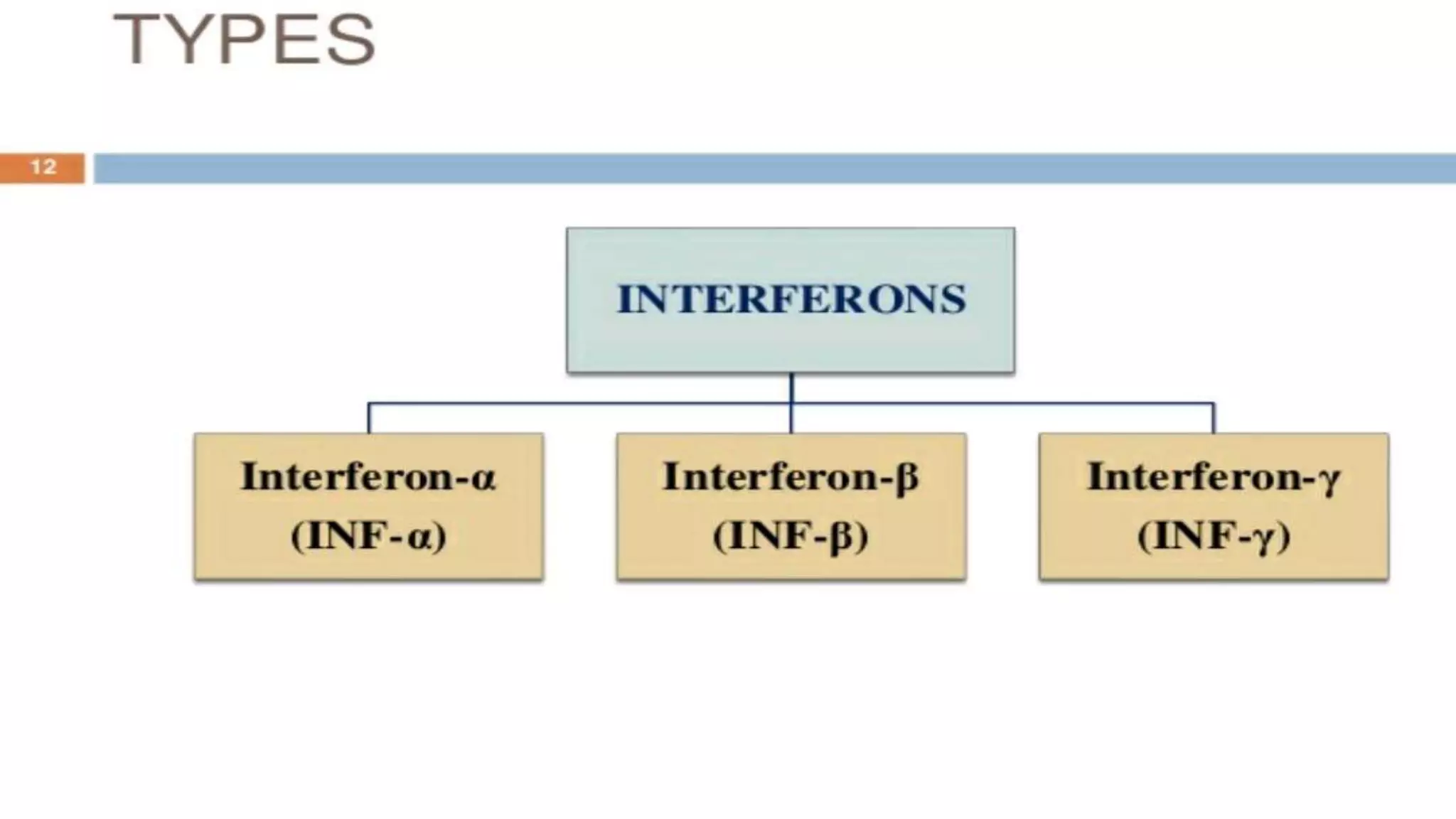 interferons