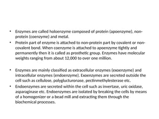 • Enzymes are called holoenzyme composed of protein (apoenzyme), non-
protein (coenzyme) and metal.
• Protein part of enzyme is attached to non-protein part by covalent or non-
covalent bond. When coenzyme is attached to apoenzyme tightly and
permanently then it is called as prosthetic group. Enzymes have molecular
weights ranging from about 12,000 to over one million.
• Enzymes are mainly classified as extracellular enzymes (exoenzyme) and
intracellular enzymes (endoenzyme). Exoenzymes are secreted outside the
cell such as cellulose, polyglucturonase, pectinmethylesterase etc.
• Endoenzymes are secreted within the cell such as invertase, uric oxidase,
asparaginase etc. Endoenzymes are isolated by breaking the cells by means
of a homogenizer or a bead mill and extracting them through the
biochemical processes.
 