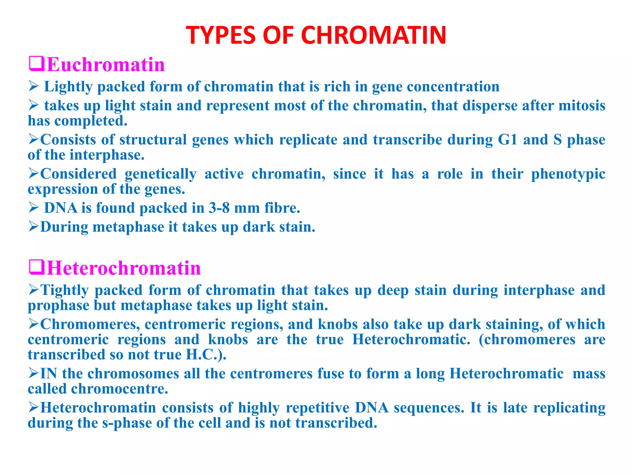 TYPES OF CHROMATIN
Euchromatin
 Lightly packed form of chromatin that is rich in gene concentration
 takes up light stain and represent most of the chromatin, that disperse after mitosis
has completed.
Consists of structural genes which replicate and transcribe during G1 and S phase
of the interphase.
Considered genetically active chromatin, since it has a role in their phenotypic
expression of the genes.
 DNA is found packed in 3-8 mm fibre.
During metaphase it takes up dark stain.

Heterochromatin
Tightly packed form of chromatin that takes up deep stain during interphase and
prophase but metaphase takes up light stain.
Chromomeres, centromeric regions, and knobs also take up dark staining, of which
centromeric regions and knobs are the true Heterochromatic. (chromomeres are
transcribed so not true H.C.).
IN the chromosomes all the centromeres fuse to form a long Heterochromatic mass
called chromocentre.
Heterochromatin consists of highly repetitive DNA sequences. It is late replicating
during the s-phase of the cell and is not transcribed.

 