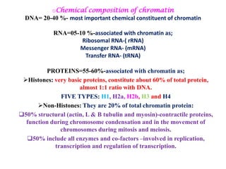 oChemical composition of chromatin
DNA= 20-40 %- most important chemical constituent of chromatin
RNA=05-10 %-associated with chromatin as;
Ribosomal RNA-( rRNA)
Messenger RNA- (mRNA)
Transfer RNA- (tRNA)
PROTEINS=55-60%-associated with chromatin as;
Histones: very basic proteins, constitute about 60% of total protein,
almost 1:1 ratio with DNA.
FIVE TYPES: H1, H2a, H2b, H3 and H4
Non-Histones: They are 20% of total chromatin protein:
50% structural (actin, L & B tubulin and myosin)-contractile proteins,
function during chromosome condensation and in the movement of
chromosomes during mitosis and meiosis.
50% include all enzymes and co-factors –involved in replication,
transcription and regulation of transcription.

 