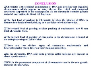 CONCLUSION
Chromatin is the complex combination of DNA and proteins that organizes
chromosomes which appear as many thread like coiled and elongated
structures suspended in the nucleoplasm. So the chromatin contains genetic
material instructions to direct cell function.
The first level of packing in Chromatin involves the binding of DNA to
histones into fundamental packing unit particles called nucleosomes.
The second level of packing involves packing of nucleosomes into 30 nm
thick chromatin fibre.
The highest level of packing of chromatin in the chromosome is found at
the metaphase stage of cell division.
There are two distinct types of chromatin- euchromatin
heterochromatin which differ on their staining properties.

and

In the chromatin, DNA and basic proteins called histones are present in
about equal amounts.
DNA is the permanent component of chromosomes and is the sole genetic
material of eukaryotes.

 