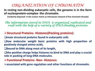 ORGANIZATION OF CHROMATIN
In resting non-dividing eukaryotic cells, the genome is in the form
of nucleoprotein-complex- the chromatin.
(randomly dispersed in the nuclear matrix as interwoven network of fine chromatin threads)

The information stored in DNA is organized, replicated and
read with the help of a variety of DNA-binding proteins:

Structural Proteins- Histones(Packing proteins):
main structural proteins found in eukaryotic cells
low molecular weight basic proteins with high proportion of
positively charged amino acids,
bound to DNA along most of its length,
the positive charge helps histones to bind to DNA and play a crucial
role in packing of long DNA molecules.

Functional Proteins- Non- Histones:
associated with gene regulation and other functions of chromatin.

 