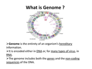 What is Genome ?

Genome is the entirety of an organism's hereditary
information.
It is encoded either in DNA or, for ma...