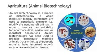 Agriculture (Animal Biotechnology)
Animal biotechnology is a branch
of biotechnology in which
molecular biology techniques are
used to genetically engineer (i.e.
modify the genome of) animals in
order to improve their suitability
for pharmaceutical, agricultural or
industrial applications. Animal
biotechnology has been used to
produce genetically modified
animals that synthesize therapeutic
proteins, have improved growth
rates or are resistant to disease.
 