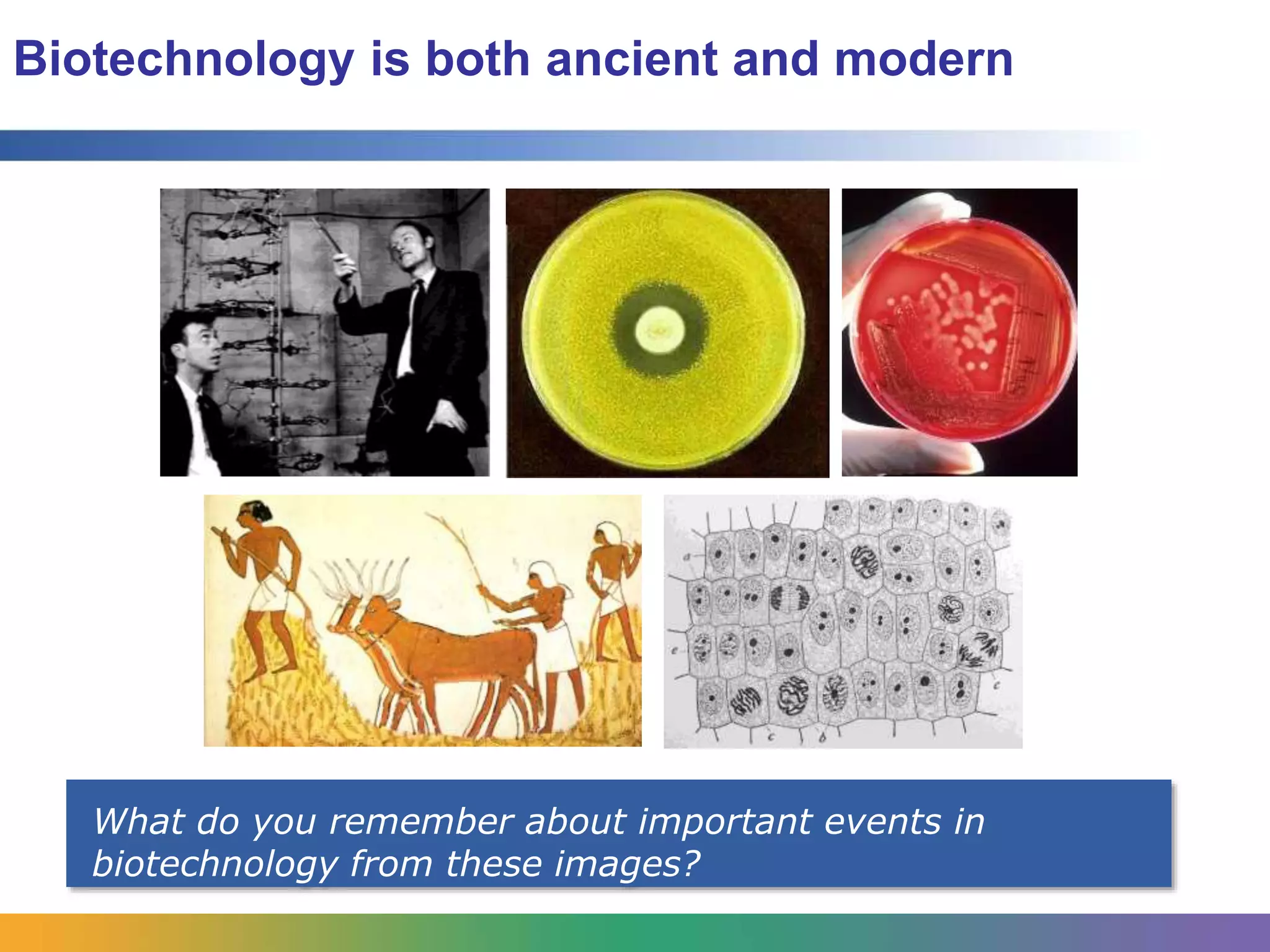 The History of Biotechnology | PPTX