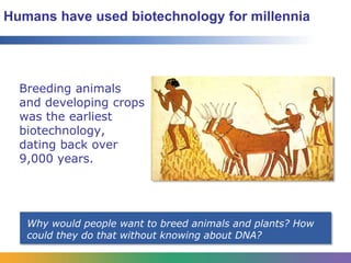The History of Biotechnology | PPTX