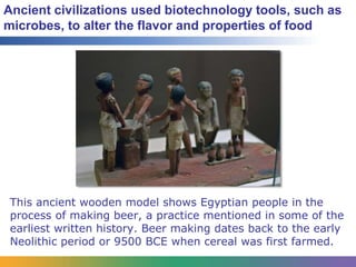 First Biotechnology The History of Biotechnology | PPTX