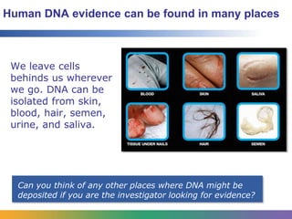 DNA in the Laboratory | PPTX