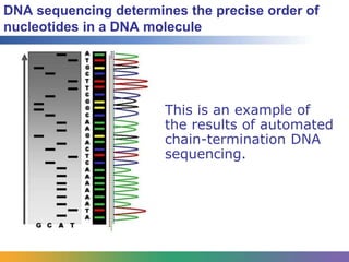 DNA in the Laboratory | PPTX