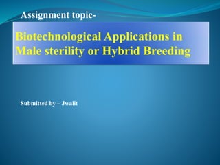 Assignment topic-
Submitted by – Jwalit
Biotechnological Applications in
Male sterility or Hybrid Breeding
 
