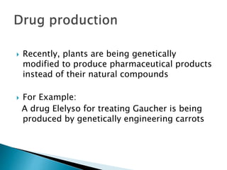 Biotech & medicine.ppt