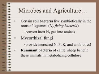 Microbes and Agriculture…
• Certain soil bacteria live symbiotically in the
roots of legumes (N2-fixing bacteria)
-convert inert N2 gas into amines
• Mycorrhizal fungi
-provide increased N, P, K, and antibiotics!
• Ruminant bacteria of cattle, sheep benefit
these animals in metabolizing cellulose
 