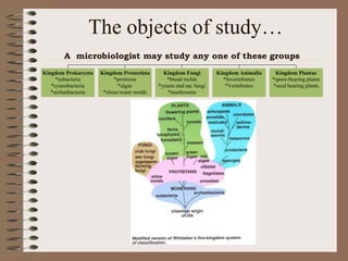 The objects of study…
A microbiologist may study any one of these groups
Kingdom Prokaryota
*eubacteria
*cyanobacteria
*archaebacteria
Kingdom Protoctista
*protozoa
*algae
*slime/water molds
Kingdom Fungi
*bread molds
*yeasts and sac fungi
*mushrooms
Kingdom Animalia
*Invertebrates
*Vertebrates
Kingdom Plantae
*spore-bearing plants
*seed bearing plants
 