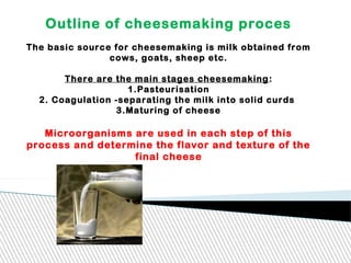 Outline of cheesemaking proces
The basic source for cheesemaking is milk obtained from
cows, goats, sheep etc.
There are the main stages cheesemaking:
1.Pasteurisation
2. Coagulation -separating the milk into solid curds
3.Maturing of cheese
Microorganisms are used in each step of this
process and determine the flavor and texture of the
final cheese
 