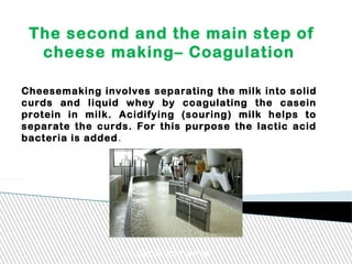 The second and the main step of
cheese making– Coagulation
Cheesemaking involves separating the milk into solid
curds and liquid whey by coagulating the casein
protein in milk. Acidifying (souring) milk helps to
separate the curds. For this purpose the lactic acid
bacteria is added.
Curds and whey
 