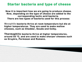 Starter bacteria and type of cheese
Now it is important how we are going to produce cheese.
Now, depending on the type of cheese are added to the
corresponding lactic acid bacteria.
There are two types of bacteria used for this process:
Mesophilic bacteria thrive at room temperature but die at
higher temperatures. They are used to make mellow
cheeses, such as Cheddar, Gouda and Colby.
Thermophilic bacteria thrive at higher temperatures,
around 55 °C, and are used to make sharper cheeses such
as Gruyère, Parmesan and Romano.
 