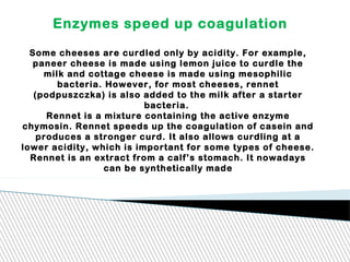 Enzymes speed up coagulation
Some cheeses are curdled only by acidity. For example,
paneer cheese is made using lemon juice to curdle the
milk and cottage cheese is made using mesophilic
bacteria. However, for most cheeses, rennet
(podpuszczka) is also added to the milk after a starter
bacteria.
Rennet is a mixture containing the active enzyme
chymosin. Rennet speeds up the coagulation of casein and
produces a stronger curd. It also allows curdling at a
lower acidity, which is important for some types of cheese.
Rennet is an extract from a calf’s stomach. It nowadays
can be synthetically made
 