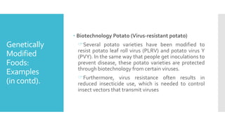 Genetically
Modified
Foods:
Examples
(in contd).
 Biotechnology Potato (Virus-resistant potato)
Several potato varieties have been modified to
resist potato leaf roll virus (PLRV) and potato virus Y
(PVY). In the same way that people get inoculations to
prevent disease, these potato varieties are protected
through biotechnology from certain viruses.
Furthermore, virus resistance often results in
reduced insecticide use, which is needed to control
insect vectors that transmit viruses
 